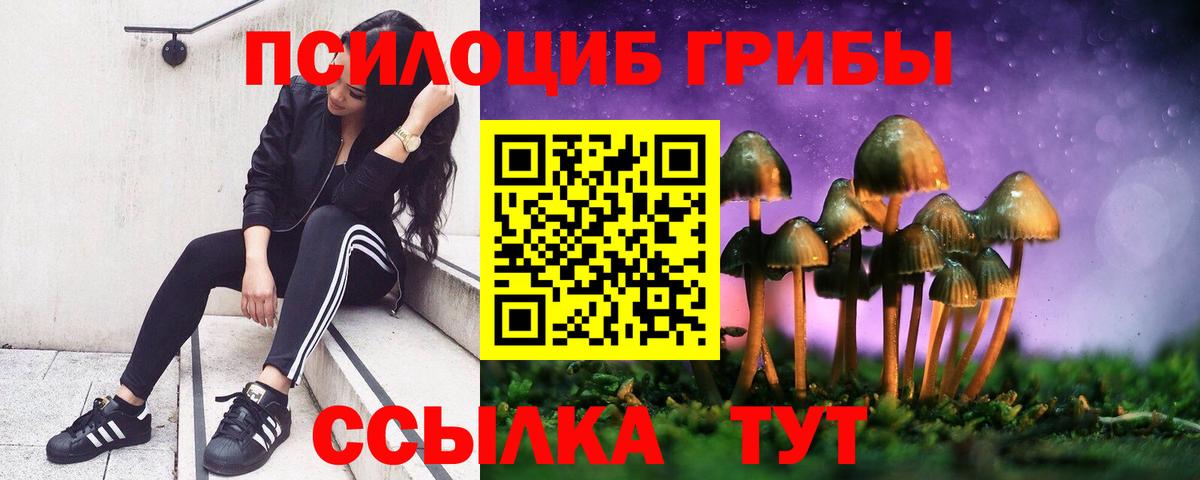 Галлюциногенные грибы мухоморы  Вход с VPN  Кировск 