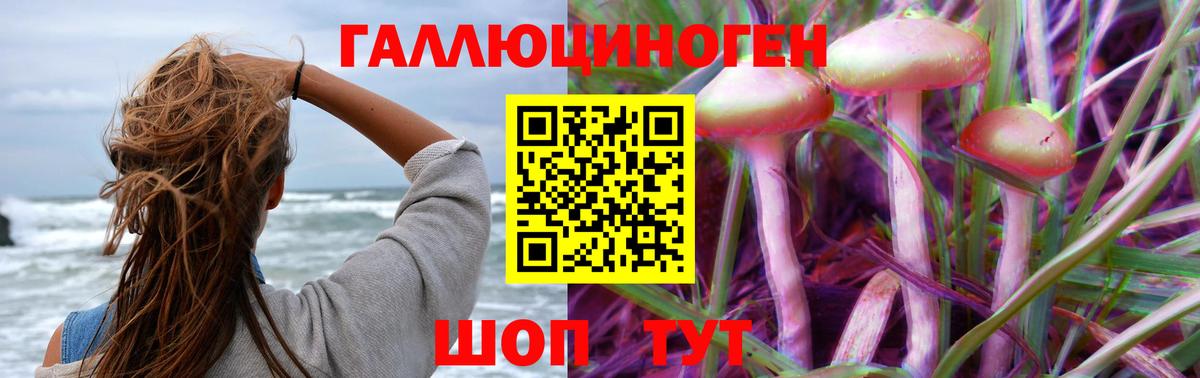 Псилоцибиновые грибы Cubensis Кировск